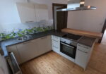 Küche - Einbauküche mit Spülmanschine und Kühlschrank