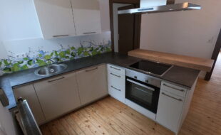 Einbauküche mit Spülmanschine und Kühlschrank